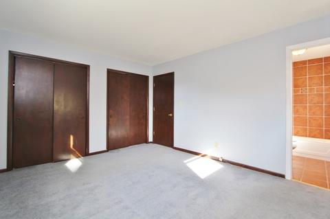 303 Andrew Ave, Dwight, IL 60420 photo 24