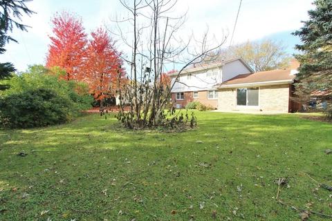 303 Andrew Ave, Dwight, IL 60420 photo 5