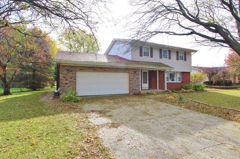 303 Andrew Ave, Dwight, IL 60420 photo 2