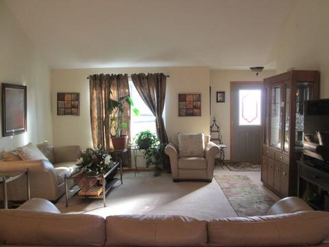 97 Devonshire Dr, Crete, IL 60417 photo 5