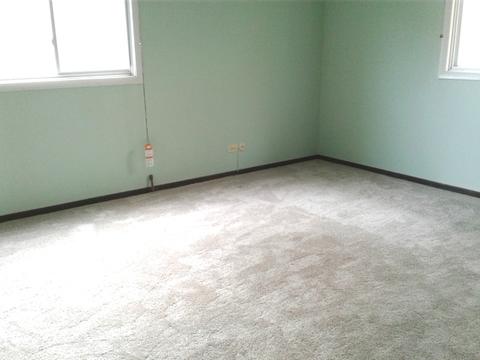 1255 Folkstone Ct, Wheaton, IL 60189 photo 15