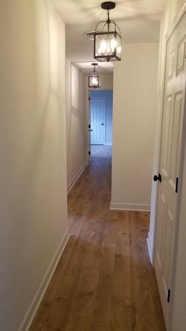 341 E Hawthorne Blvd, Wheaton, IL 60187 photo 16
