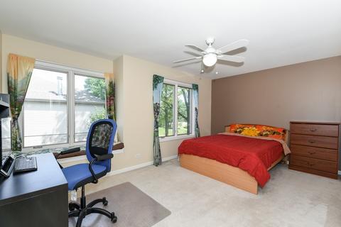 689 E Nerge Rd, Roselle, IL 60172 photo 19
