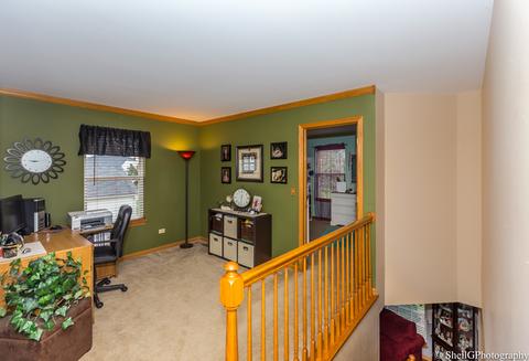2006 Ridge Moor Dr, Plainfield, IL 60586 photo 13