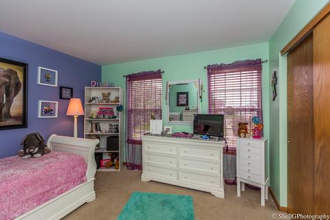 2006 Ridge Moor Dr, Plainfield, IL 60586 photo 20