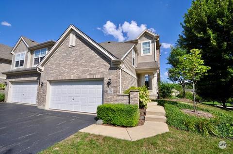 171 River Mist Dr, Oswego, IL 60543 photo 1