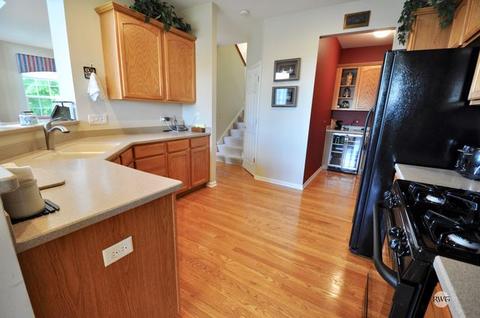 171 River Mist Dr, Oswego, IL 60543 photo 8