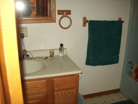 301 5th St, Walnut, IL 61376 photo 9