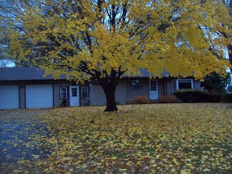 301 5th St, Walnut, IL 61376 photo 2