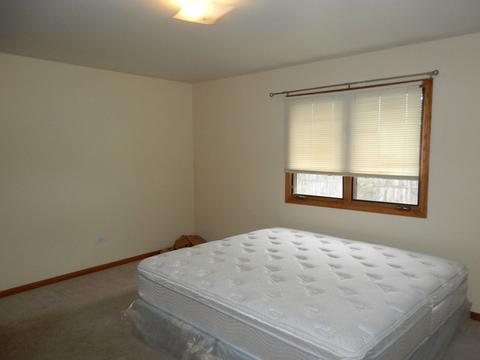 9229 Beloit Ave, Bridgeview, IL 60455 photo 12