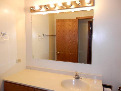 9229 Beloit Ave, Bridgeview, IL 60455 photo 16