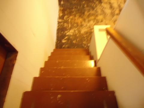 5019 Cypress Ct, Hillside, IL 60162 photo 20