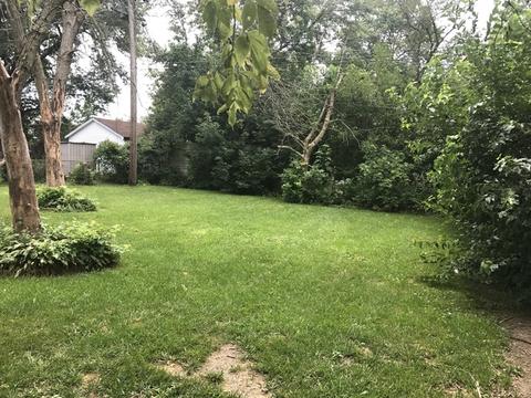 344 Durham Dr, Steger, IL 60475 photo 3