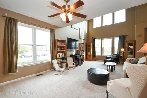 15016 Meadow Ln, Plainfield, IL 60544 photo 8