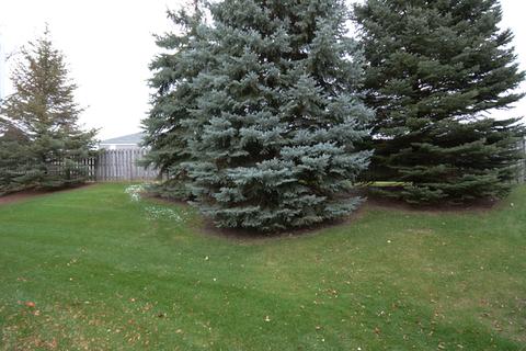 965 Mesa Dr, Elgin, IL 60123 photo 24