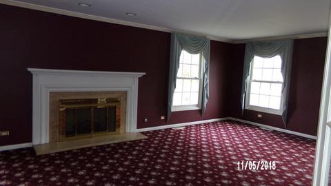41 Spring Ln, Barrington, IL 60010 photo 10