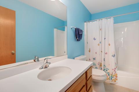 357 Jackson Ct, Gilberts, IL 60136 photo 30