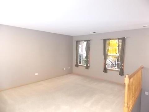 1356 Fox Hound Trl, Beecher, IL 60401 photo 9