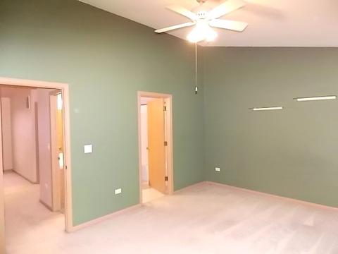 1356 Fox Hound Trl, Beecher, IL 60401 photo 18