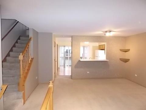 1356 Fox Hound Trl, Beecher, IL 60401 photo 6