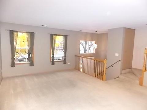 1356 Fox Hound Trl, Beecher, IL 60401 photo 8
