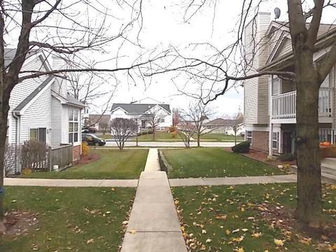 1356 Fox Hound Trl, Beecher, IL 60401 photo 4