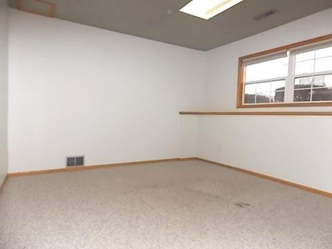 1356 Fox Hound Trl, Beecher, IL 60401 photo 25
