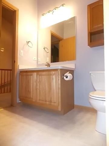 1356 Fox Hound Trl, Beecher, IL 60401 photo 15