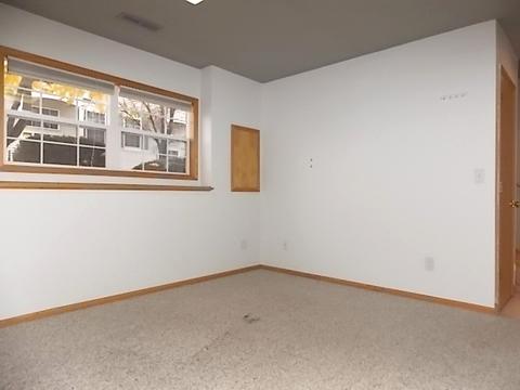 1356 Fox Hound Trl, Beecher, IL 60401 photo 26
