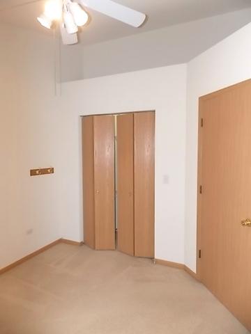1356 Fox Hound Trl, Beecher, IL 60401 photo 22