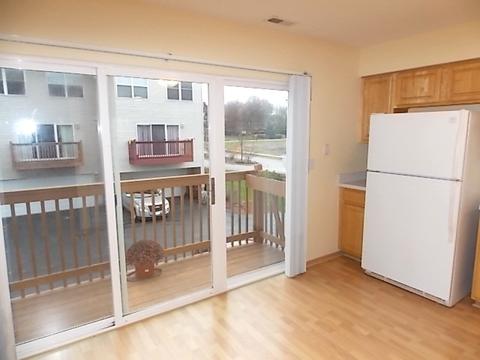 1356 Fox Hound Trl, Beecher, IL 60401 photo 13