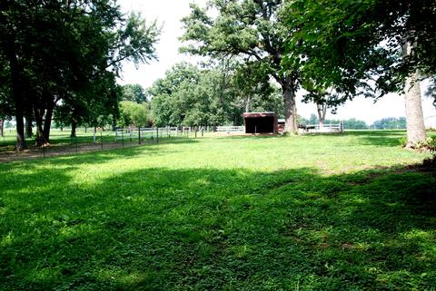 33237 N State Rd, Genoa, IL 60135 photo 20