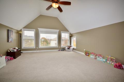 26426 Silverleaf Dr, Plainfield, IL 60585 photo 10