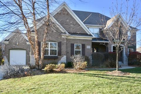 26426 Silverleaf Dr, Plainfield, IL 60585 photo 1