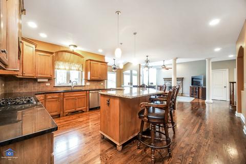 26426 Silverleaf Dr, Plainfield, IL 60585 photo 12