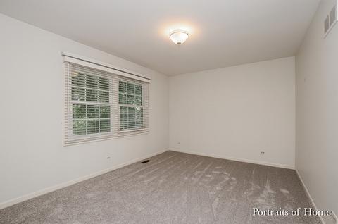 341 Brighton Dr, Wheaton, IL 60189 photo 22