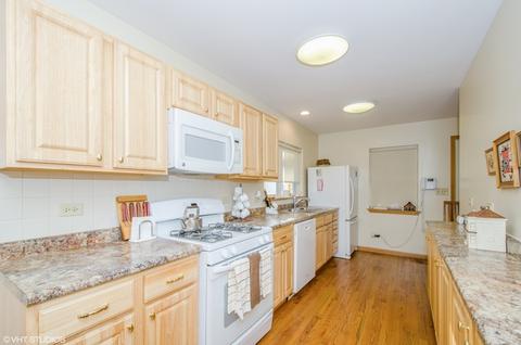 1241 Everett Ave, Des Plaines, IL 60018 photo 7