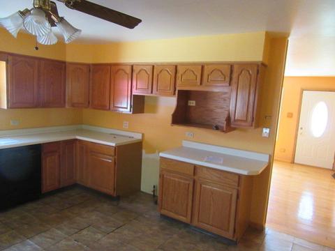105 Cora Ct, Thornton, IL 60476 photo 5