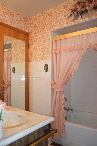3108 Wallace Ave, Steger, IL 60475 photo 25