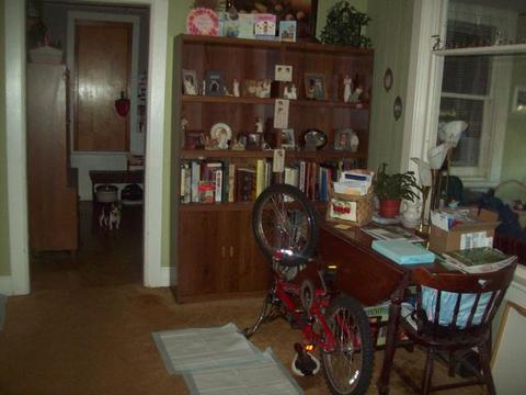 109 Ross St, Walnut, IL 61376 photo 7