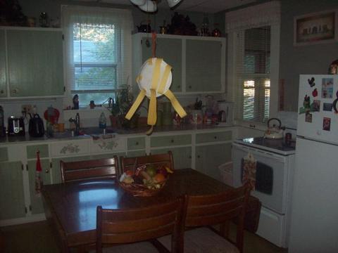 109 Ross St, Walnut, IL 61376 photo 9