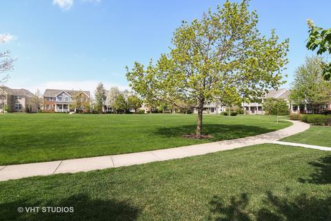 1667 Constitution Dr, Glenview, IL 60026 photo 31