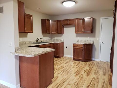 1312 Deerpath Dr, Morris, IL 60450 photo 5