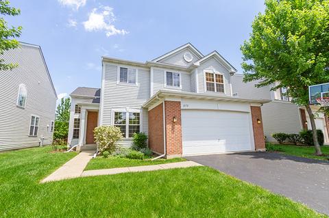 2172 W Silverleaf Ln, Addison, IL 60101 photo 1