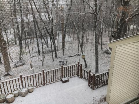 5 Brompton Ct, Bolingbrook, IL 60440 photo 25