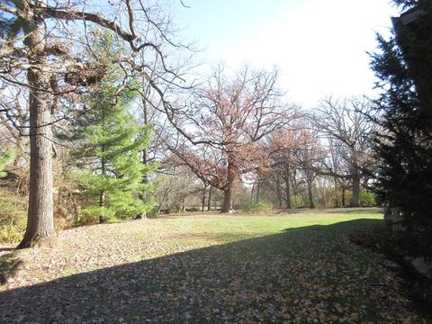 19025 Ruth Dr, Mokena, IL 60448 photo 3