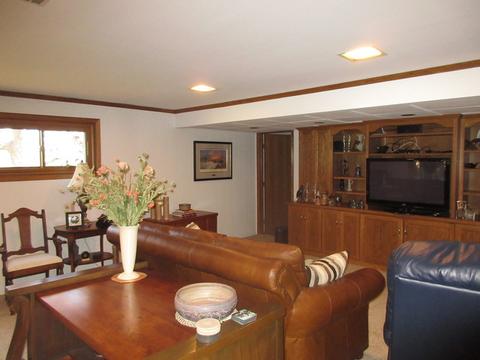 19025 Ruth Dr, Mokena, IL 60448 photo 30
