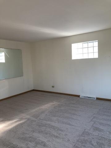 4841 N Newcastle Ave, Chicago, IL 60656 photo 12