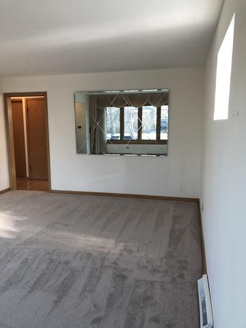 4841 N Newcastle Ave, Chicago, IL 60656 photo 10