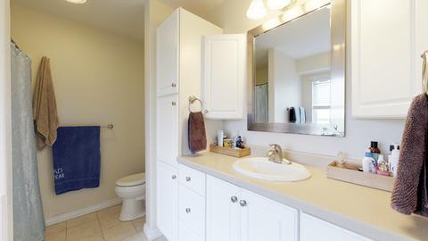 910 County Road 1800 E, Philo, IL 61864 photo 19